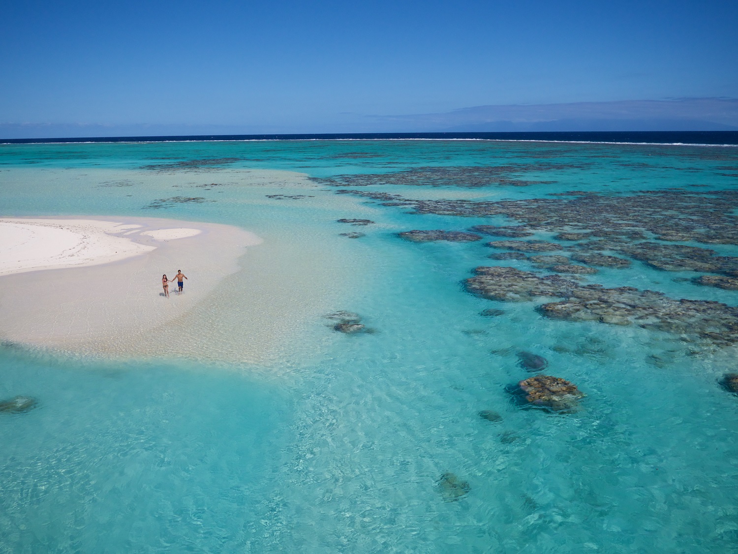 TET Brando Island Pics 4 1