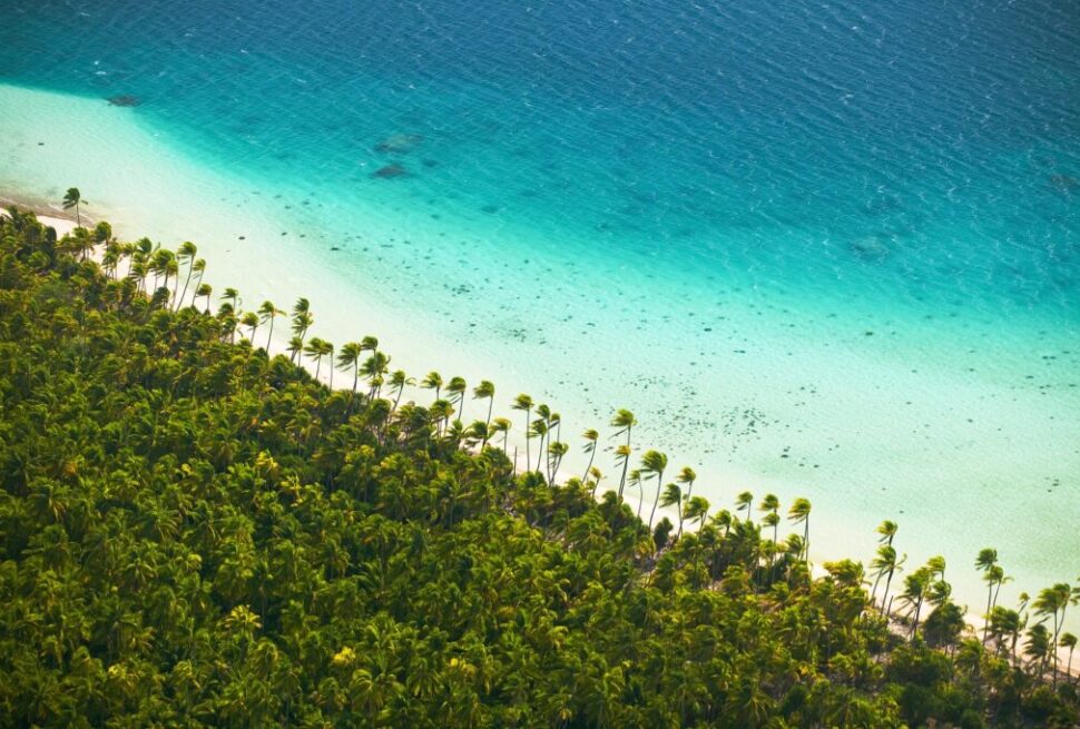 Nature & Environment – French Polynesia