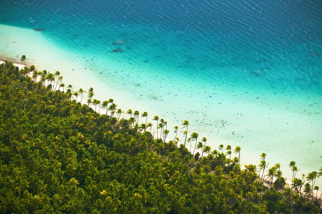 Nature & Environment – French Polynesia