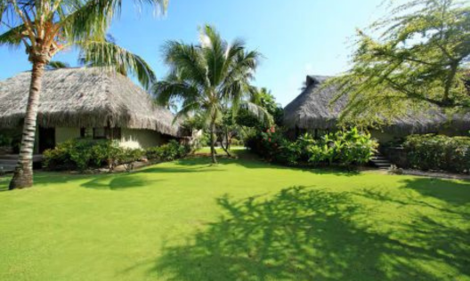 Twin Garden Bungalow with Private Pool