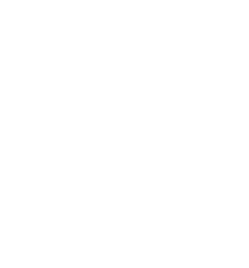 transparencet NIU BEACH HOTEL MOOREA 2