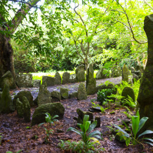 Lionel Gouverneur_raivavae_128