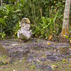 Lionel_Gouverneur_Raivavae_11mars_0114