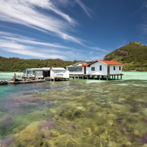 Mangareva pearl farm